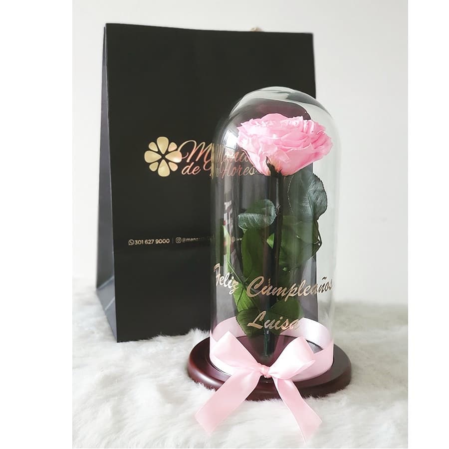Rosas eternas en caja circular grande rosas rosa palo
