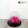 Rosa Preservada Sin Tallo